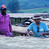 Smallholder Farms, Burundi – Bourbon, Washed