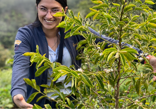 Francy Castillo, Colombia – Pink Bourbon, Washed