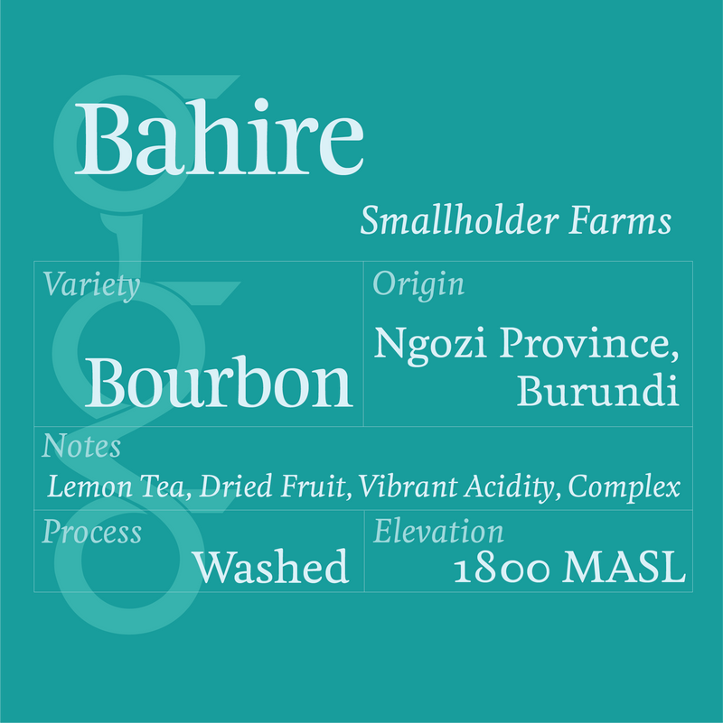 Smallholder Farms, Burundi – Bourbon, Washed