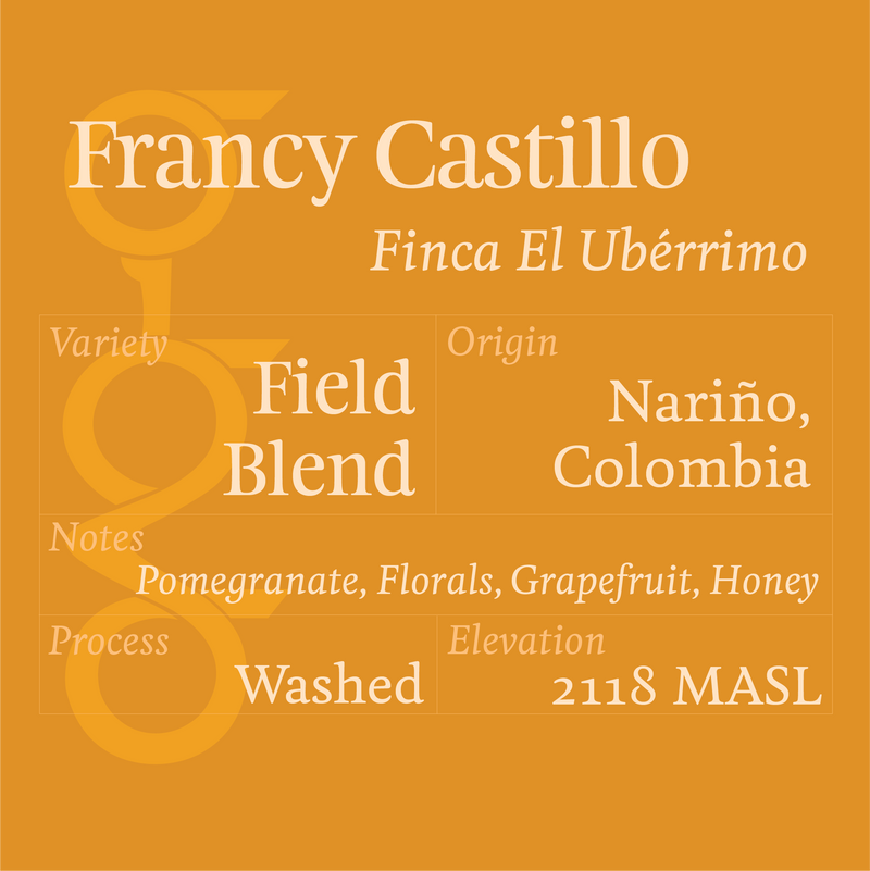 Francy Castillo, Colombia – Field Blend, Washed